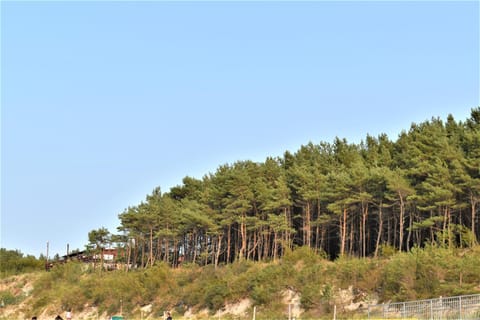 Apartament Gabrysia 7 Apartment in West Pomeranian Voivodeship, Poland