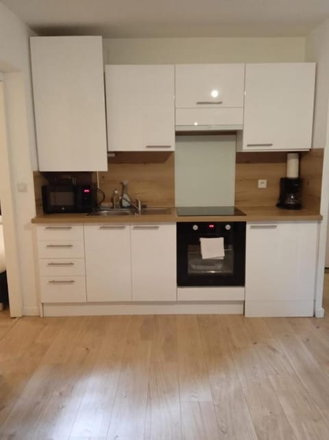 Jolie T2 - très grande terrasse Apartment in Thonon-les-Bains