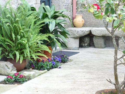 Patio, Balcony/Terrace, On site