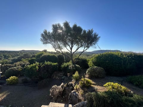 Natural landscape, Garden, Garden view, Sea view