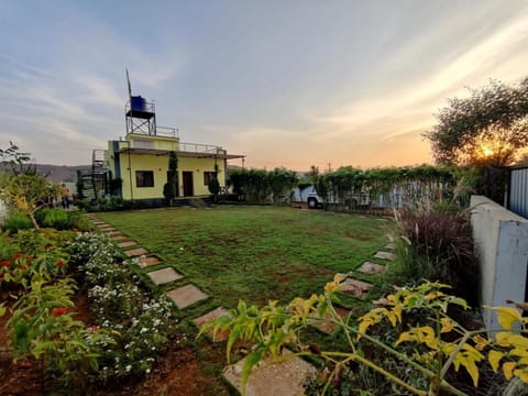 Garden, Sunset
