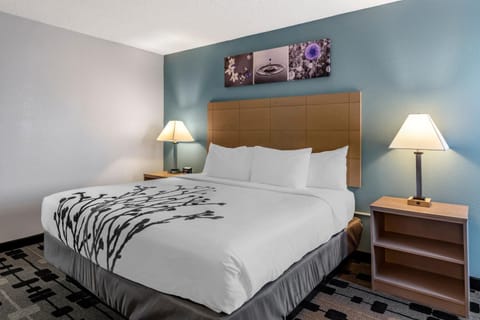 Sleep Inn Terre Haute University Area Hotel in Terre Haute