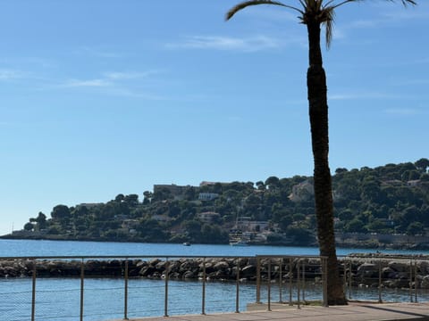 Nearby landmark, Beach