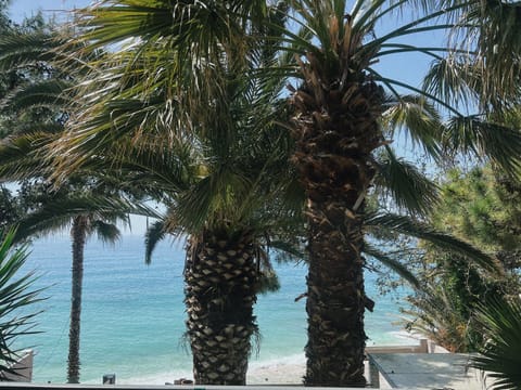 Ktima Papaoikonomou 2 Apartment in Thasos