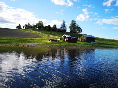 Lake view
