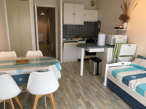 Fort-Mahon-Plage: Studio balcon, équipements complets, parking privé - FR-1-482-12 Apartment in Fort-Mahon-Plage