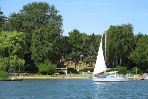 Lake view