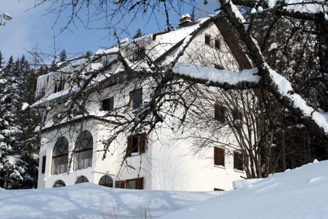 Property building, Facade/entrance, Day, Natural landscape, Winter, Mountain view