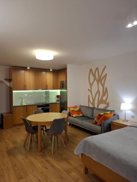 Apartamenty Rodzinne z ogródkiem Apartment in West Pomeranian Voivodeship, Poland