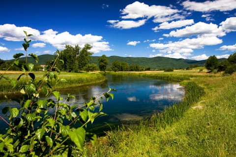 Natural landscape