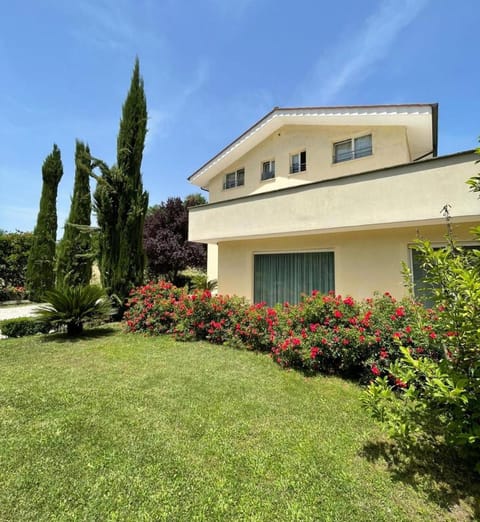 Property building, Garden, Garden view