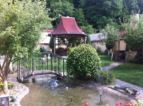 Day, Summer, Garden, On site
