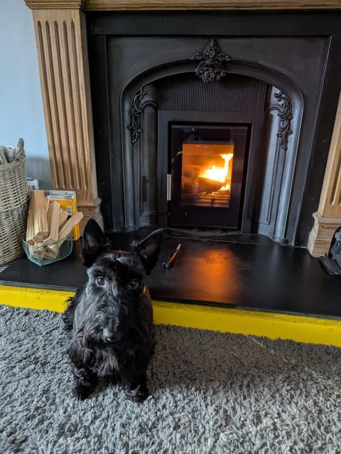Emahroo Cullen Apartment in Scotland