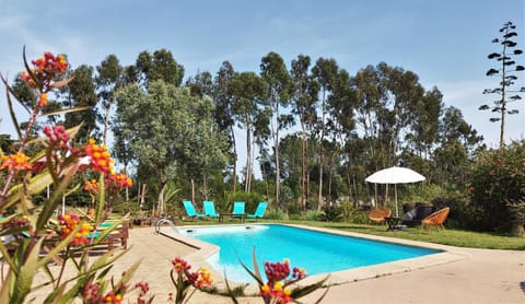 Spring, Garden, Garden view, Pool view, Swimming pool, sunbed