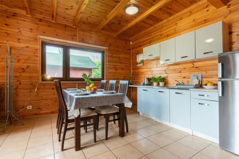 Kitchen or kitchenette, Dining area, oven, stove