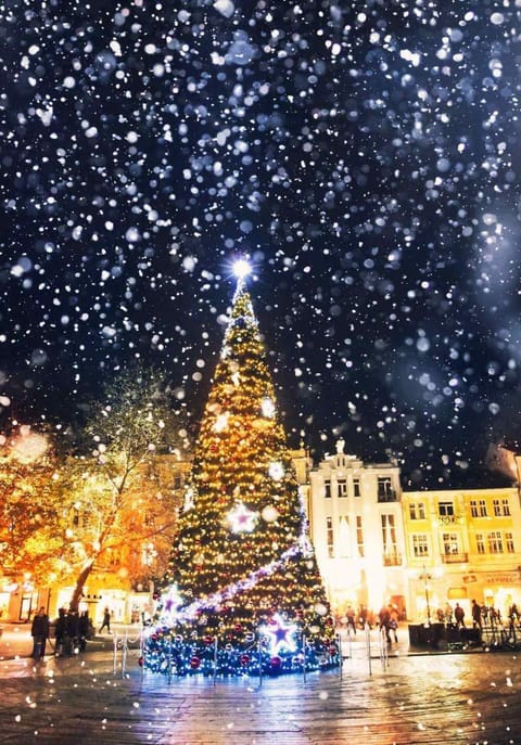 ATLAS HOUSE Luxury Suites Bed and Breakfast in Plovdiv