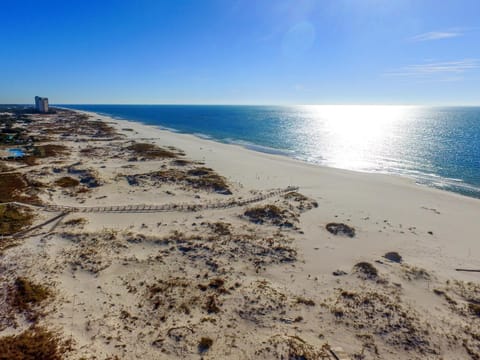 Summer Palace B Duplex Apartment in Alabama