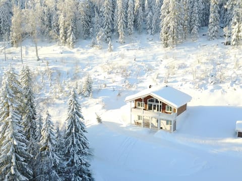 Bird's eye view, Winter