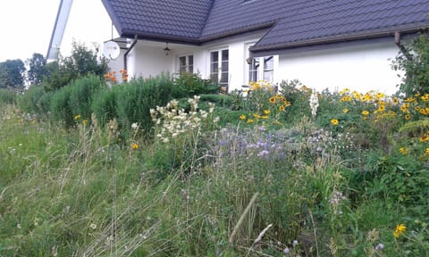Property building, Garden view
