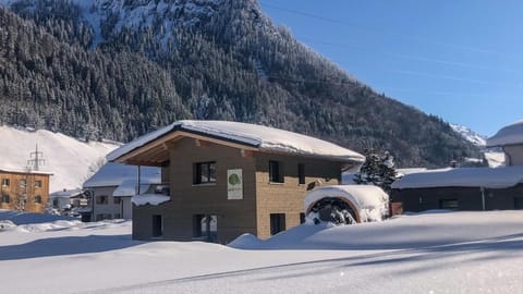 Property building, Natural landscape, Winter