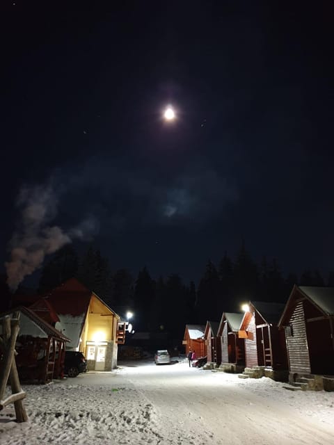 Night