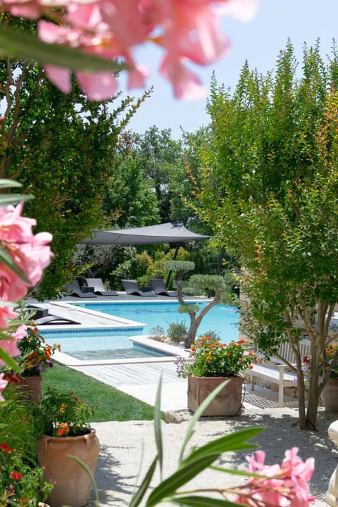 Garden, Swimming pool