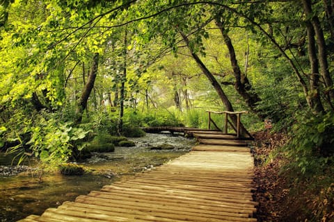 Nearby landmark, Neighbourhood, Natural landscape