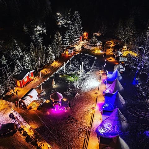 Night, People, Natural landscape, Winter
