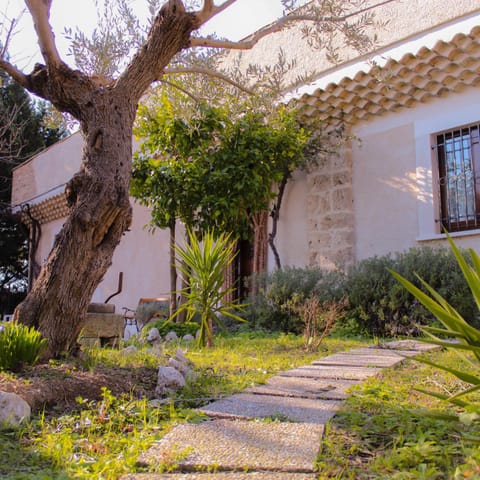 Property building, Facade/entrance, Garden