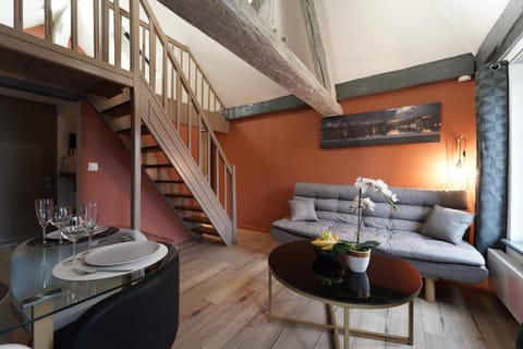 Duplex de charme au coeur historique de Metz Apartment in Metz