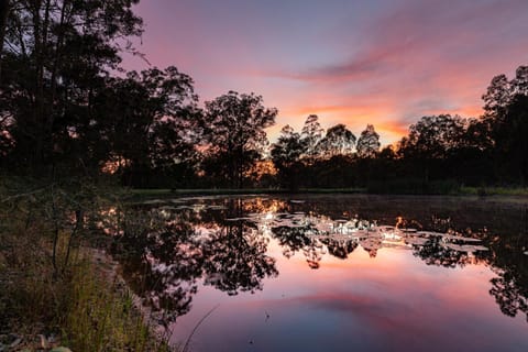 Property building, Sunset