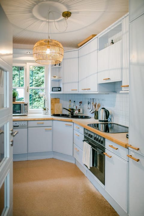 Hallstatt Lake View House House in Hallstatt