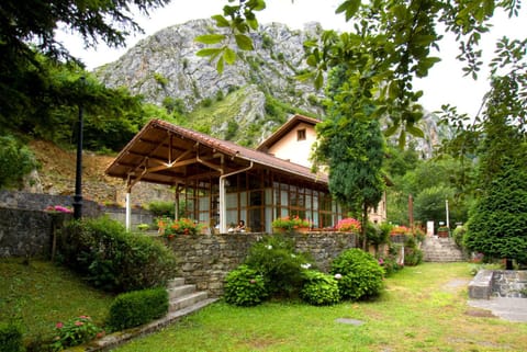 Day, Garden, Garden, Other