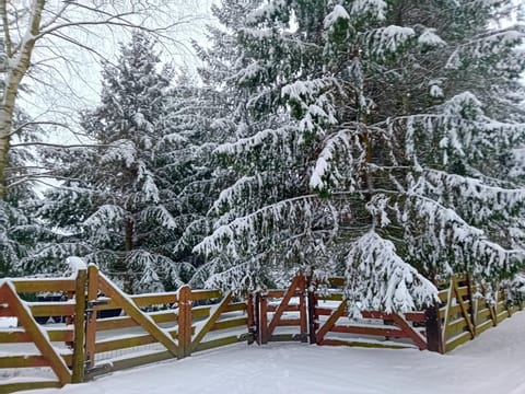 Dom Black&White House in West Pomeranian Voivodeship, Poland