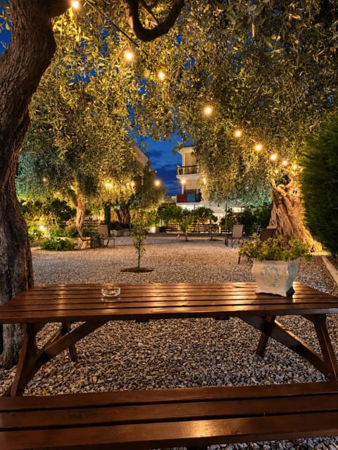 Night, Garden, Garden view