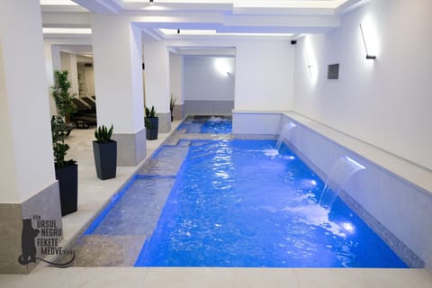 Spa and wellness centre/facilities, Swimming pool