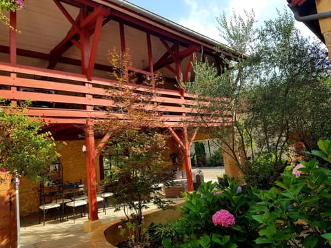 Patio, Garden, Inner courtyard view