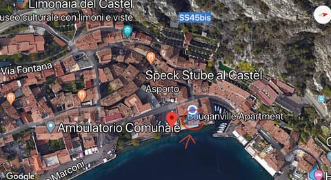 Luxury lake front Bouganville Apartment Apartment in Limone Sul Garda