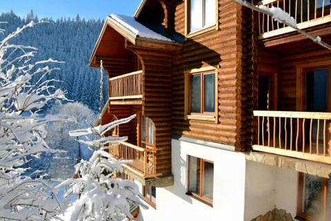 Property building, Natural landscape, Winter, View (from property/room), Balcony/Terrace, Mountain view