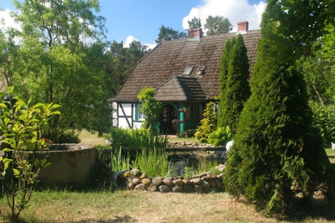 Property building, Spring, Day, Garden