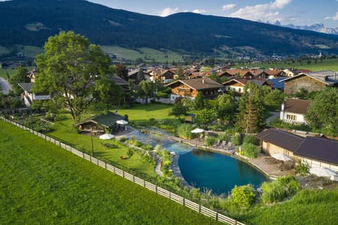 Summer, Garden, Garden, Swimming pool, sunbed