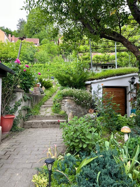 Natural landscape, Garden, Balcony/Terrace, Seating area, Garden view