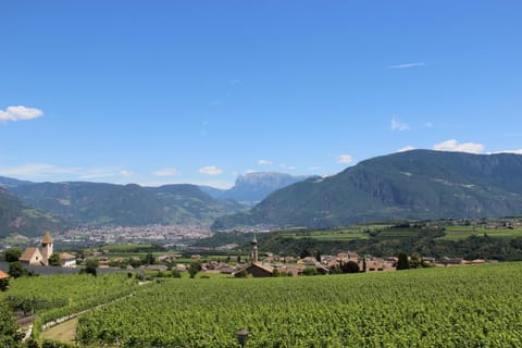 Natural landscape, View (from property/room), Mountain view
