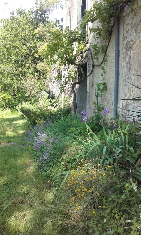Facade/entrance, Spring, Garden