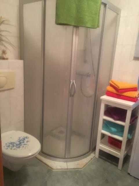 Shower, Toilet, Bathroom, Photo of the whole room