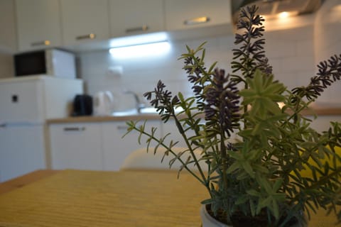 Sunny Day apartments Apartment in Šibenik-Knin County, Croatia