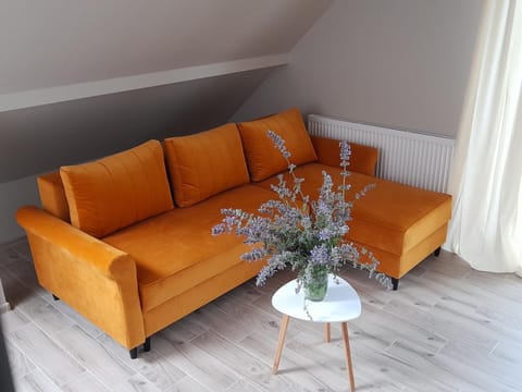 Villa Horizon Vacation rental in Pomeranian Voivodeship