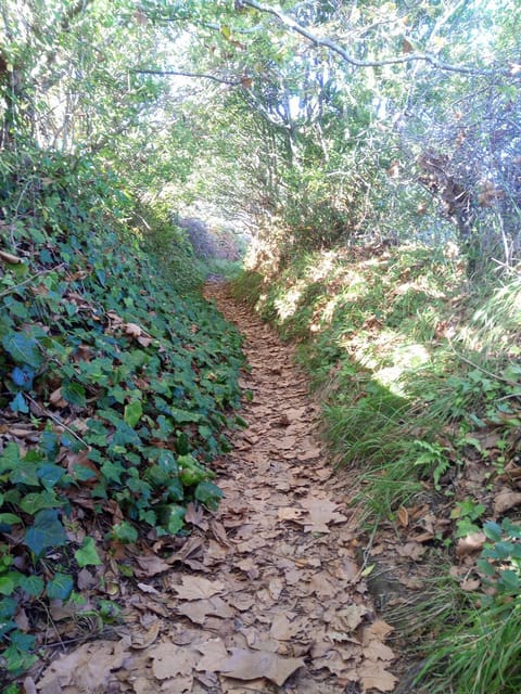 Neighbourhood, Natural landscape, Hiking