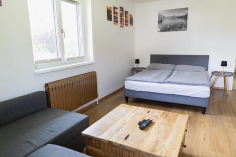 Bed, Living room, Photo of the whole room, Seating area