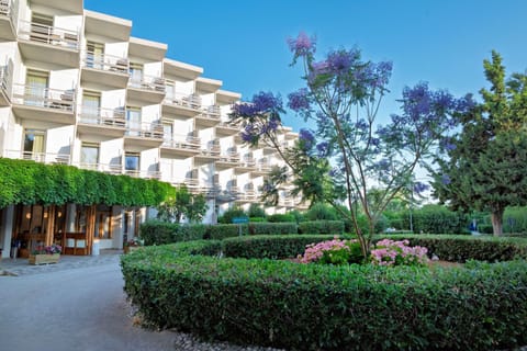 Property building, Day, Garden